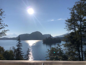 Sovica, Bled